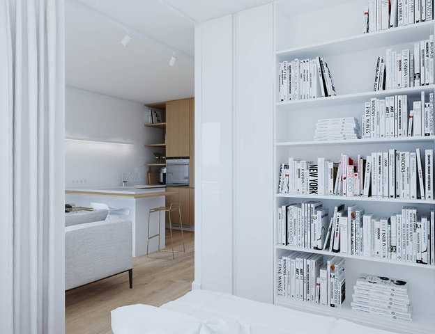 studio-apartment-bedroom-library-ideas.jpg