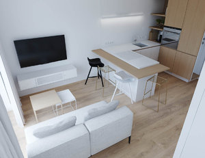 COMPACT APARTMENT WITH MINIMALIST DESIGN